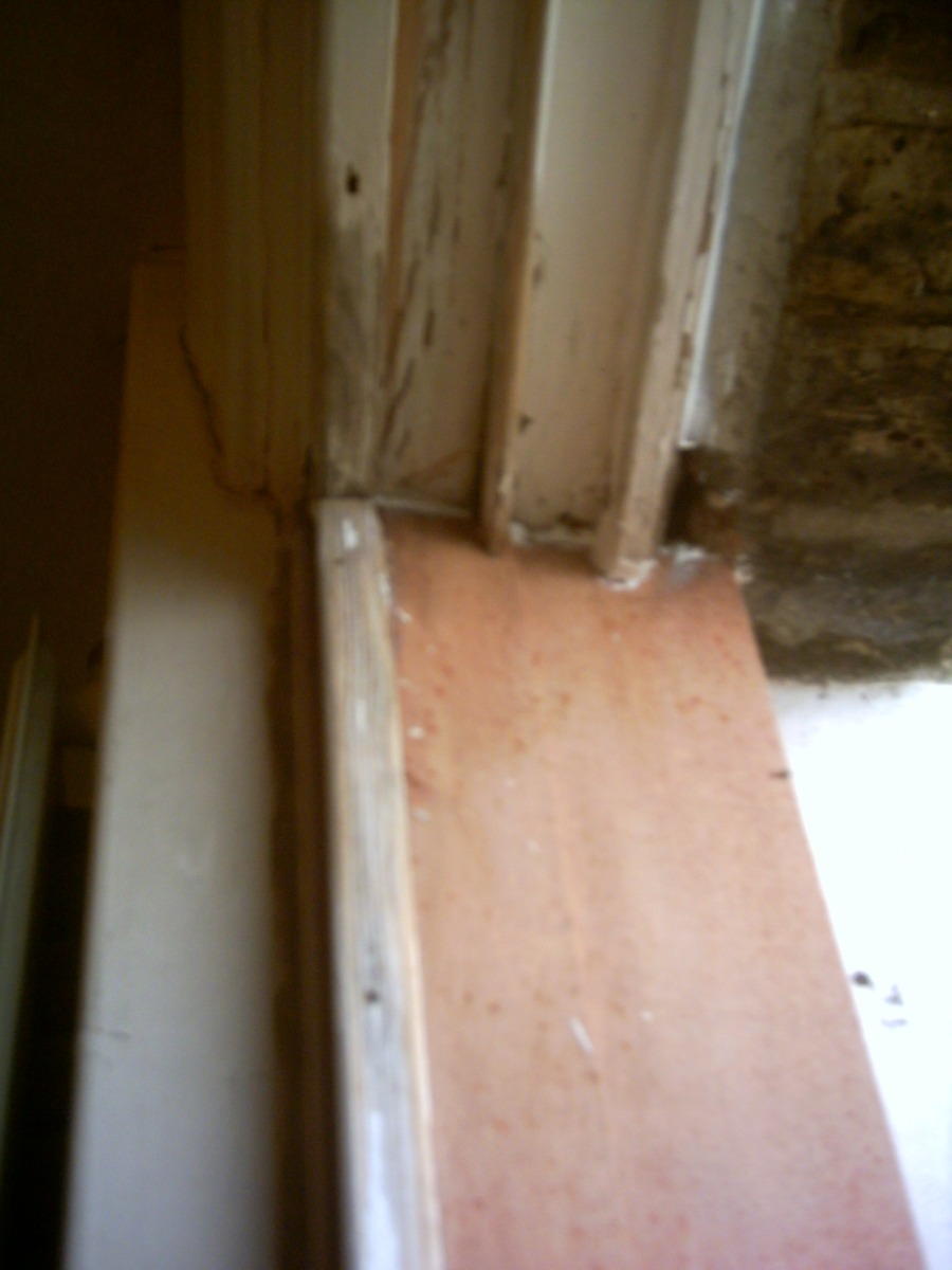 Profile: Image 7